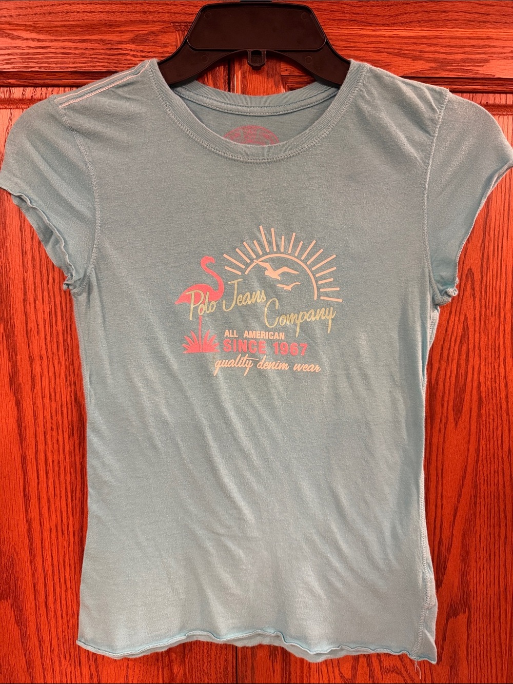 Polo by Ralph Lauren Light Blue Short Sleeve Graphic Tee